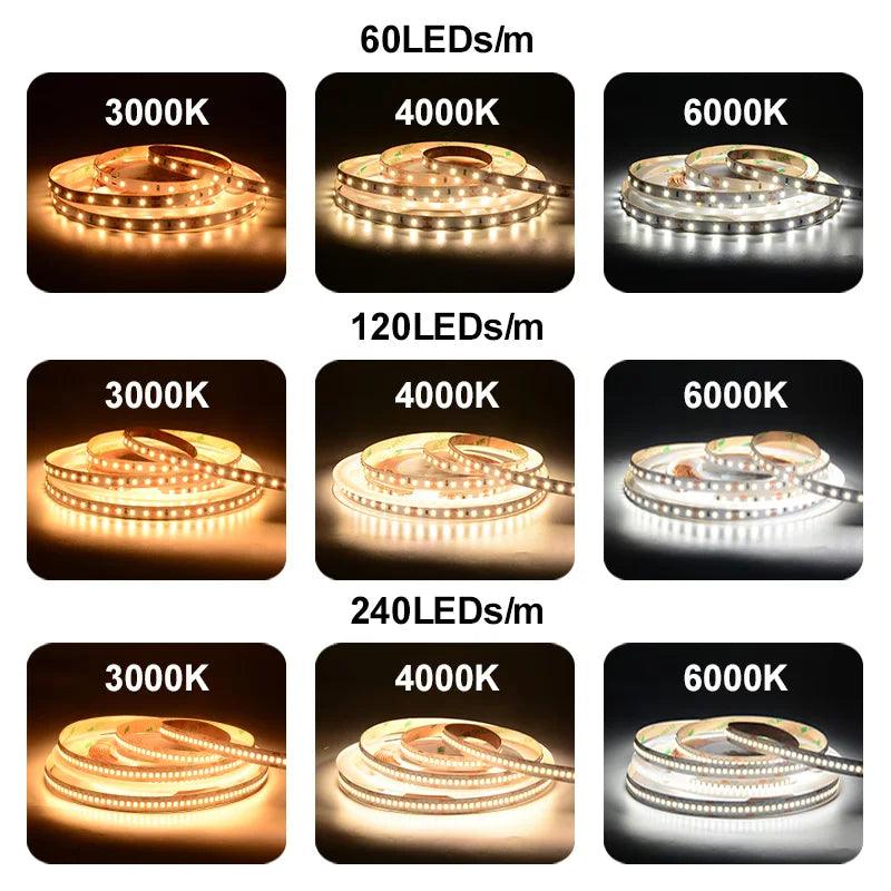 LED Strip SMD 2835 60/120/240 LEDs/m DC12V 24V IP20 5М - LEDOF