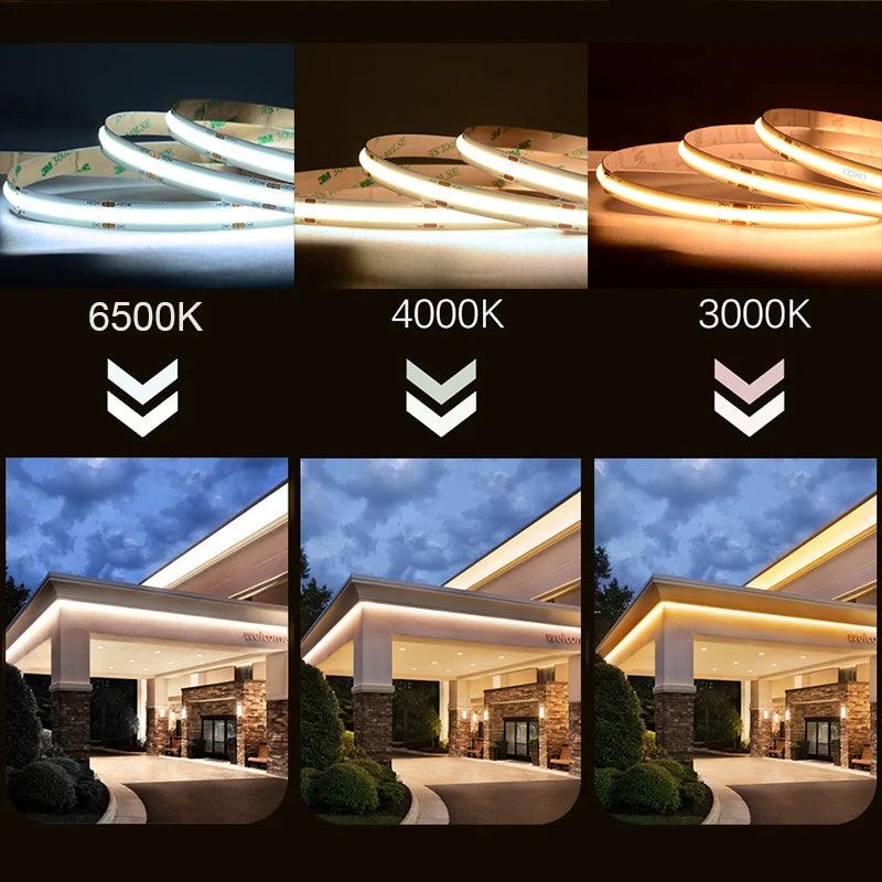 LED Strip COB 320 480 LEDs/m DC12V 24V IP20 5М - LEDOF