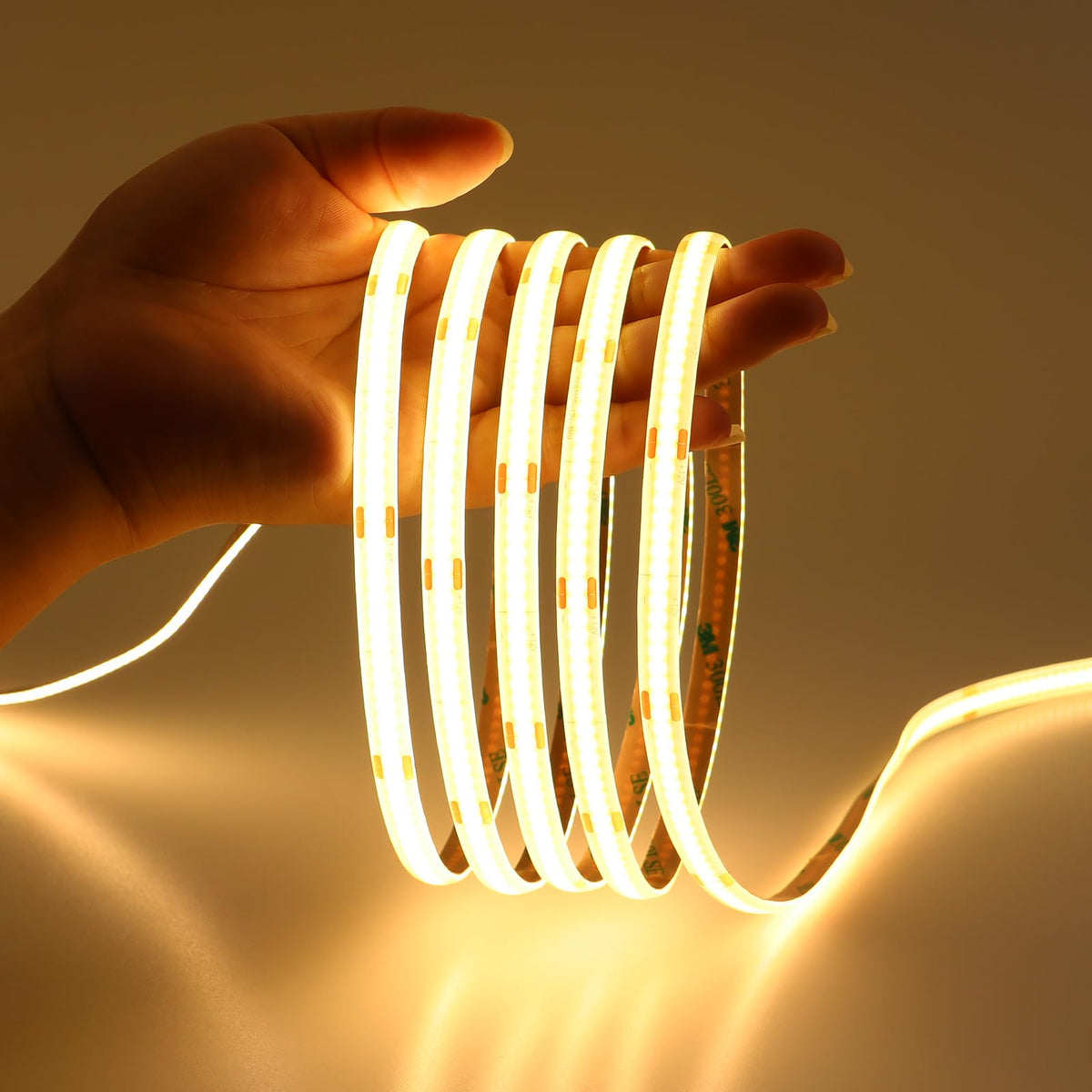 LEDOF