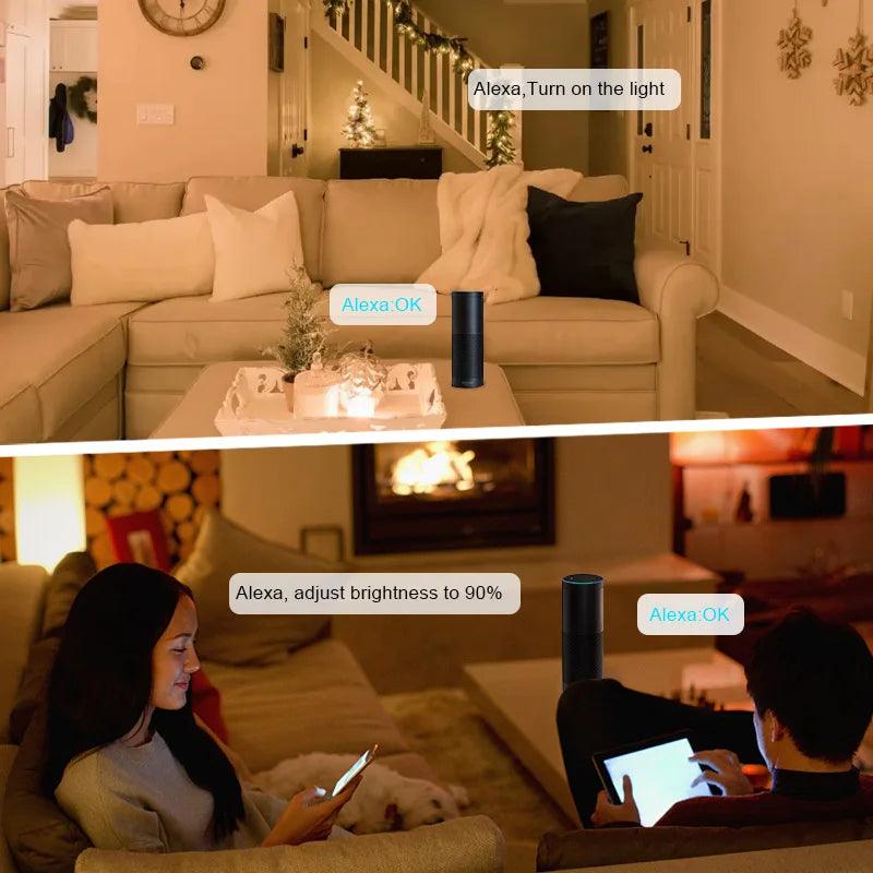 Tuya WiFi Controller Alexa Google RGB RGBW CCT DC12V-24V - LEDOF