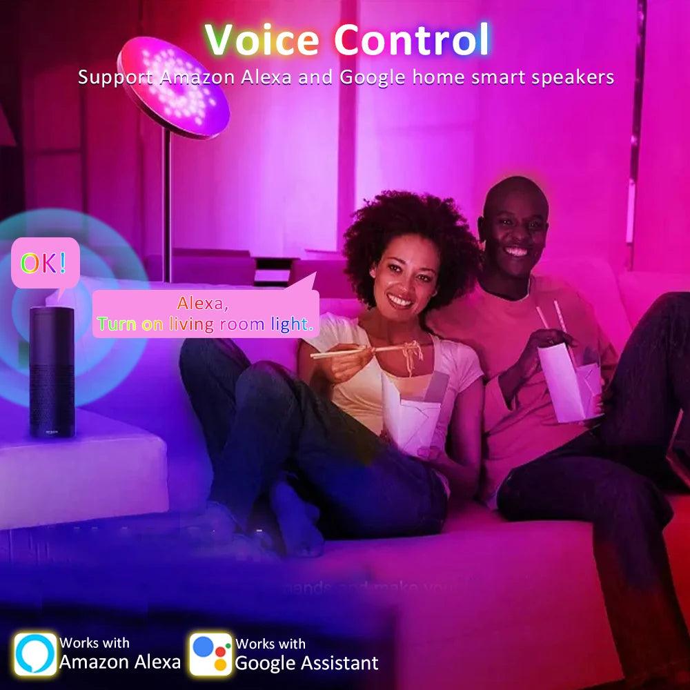 SET RGBIC Addressable LED strip 24V WS2811 - LEDOF